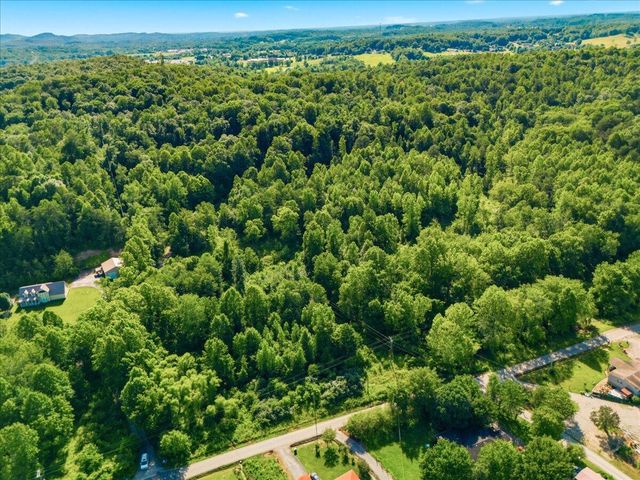 349 Persimmon Frk Lane, Gray, KY 40734