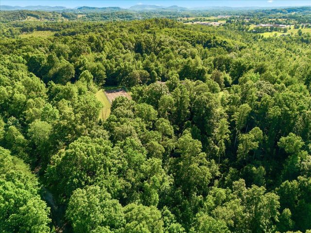 349 Persimmon Frk Lane, Gray, KY 40734
