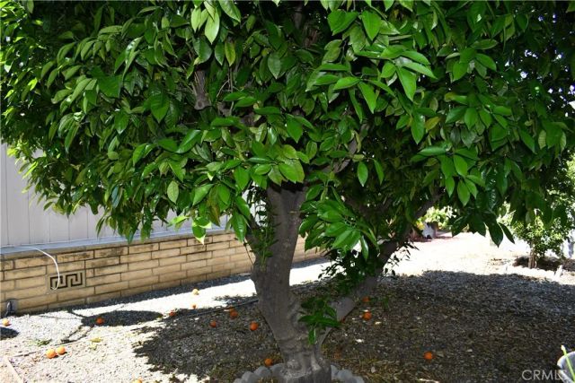 2230 Lake Park 99, San Jacinto, CA 92583