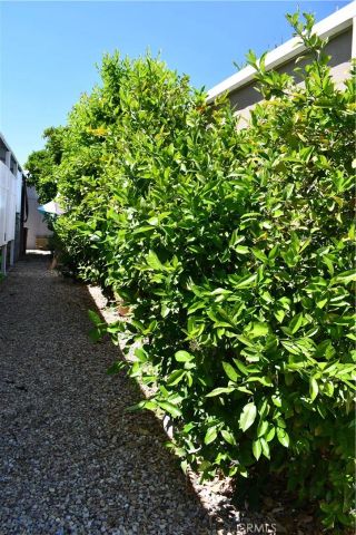 2230 Lake Park 99, San Jacinto, CA 92583