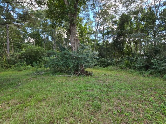 2313 MS-13, Lumberton, MS 39455