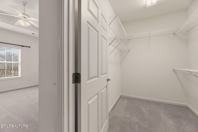 119 Devanshire Court, Oak Ridge, TN 37830