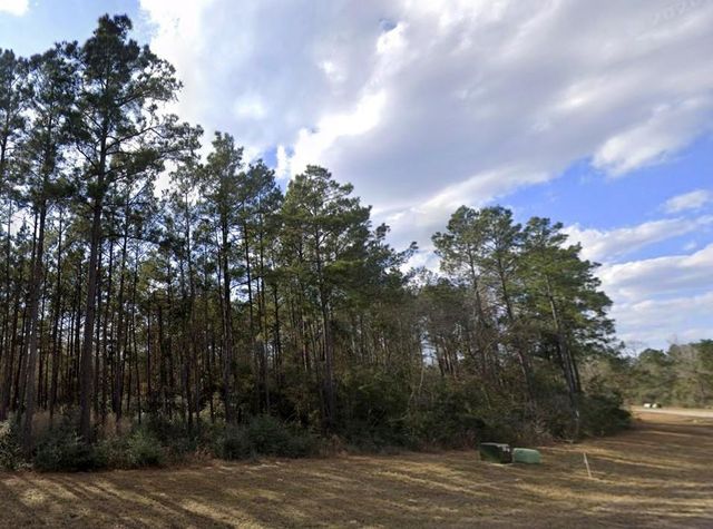 15795 Republic Ranch Road N, Willis, TX 77378