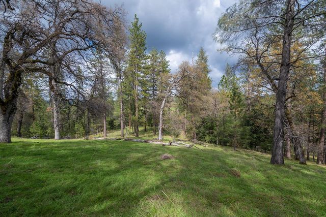 2344 Four Springs Trl, Placerville, CA 95667