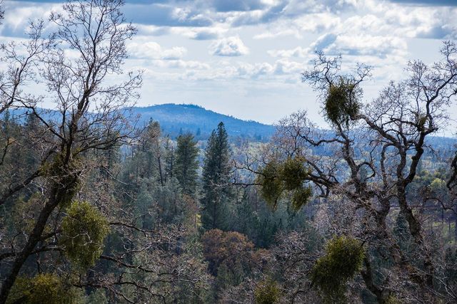 2344 Four Springs Trl, Placerville, CA 95667