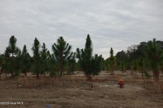 Lot 42 Stuarts Mill Road, Fairmont, NC 28340