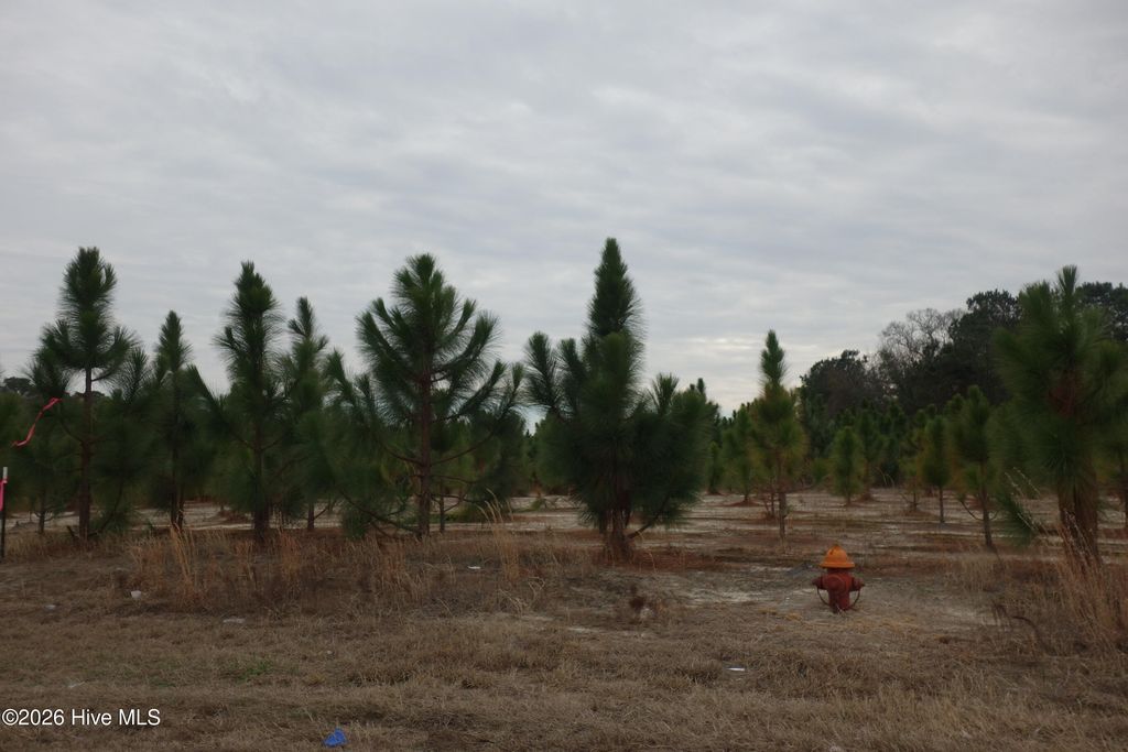 Lot 42 Stuarts Mill Road, Fairmont, NC 28340