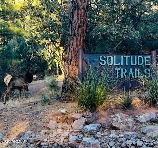 5579 W SOLITUDE TRAILS Loop, Pine, AZ 85544