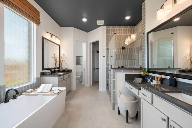 124 Black Hickory Drive, Waller, TX 77447