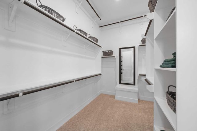 124 Black Hickory Drive, Waller, TX 77447