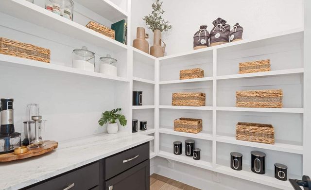 124 Black Hickory Drive, Waller, TX 77447