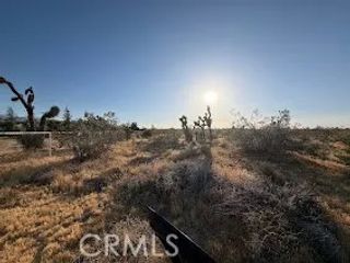 0 Mountain Rd,, Pinon Hills, CA 92372