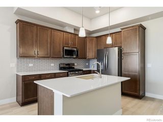 6794 School House Drive 204, Timnath, CO 80547