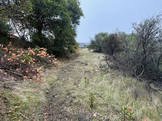 105 Silverline Road, Los Gatos, CA 95033