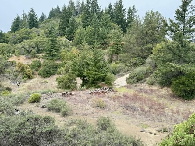 105 Silverline Road, Los Gatos, CA 95033