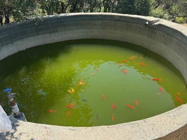 105 Silverline Road, Los Gatos, CA 95033