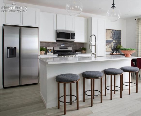10534 Helenite Point, Colorado Springs, CO 80908