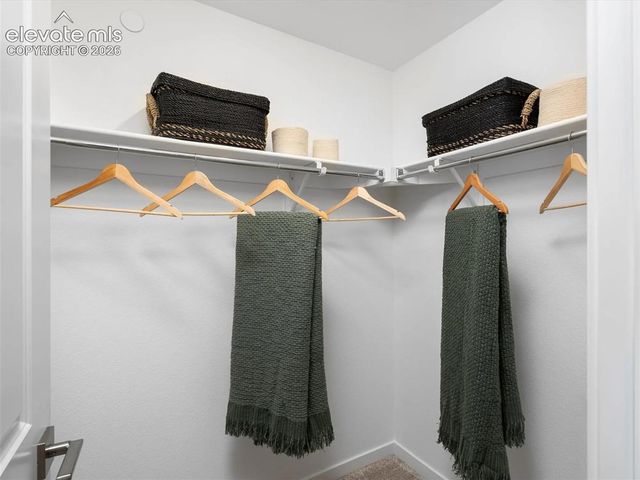 10534 Helenite Point, Colorado Springs, CO 80908