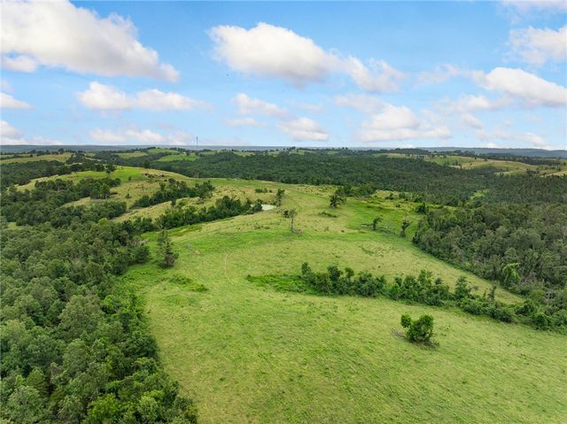 1100 MC 4013, Harrison, AR 72601