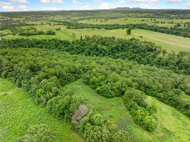 1100 MC 4013, Harrison, AR 72601