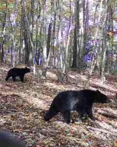 TBD Boone Gap Lane, Taylorsville, NC 28681