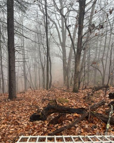 TBD Boone Gap Lane, Taylorsville, NC 28681