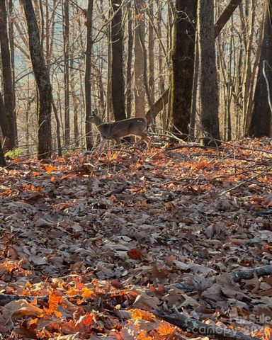TBD Boone Gap Lane, Taylorsville, NC 28681