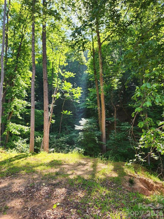 TBD Boone Gap Lane, Taylorsville, NC 28681