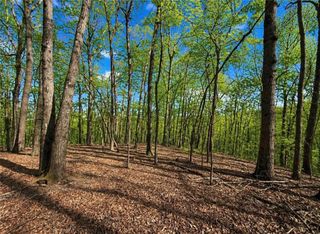 0 Burnt Mtn Cove Road, Jasper, GA 30143