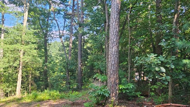 80 Jebs Ct, Ellijay, GA 30540