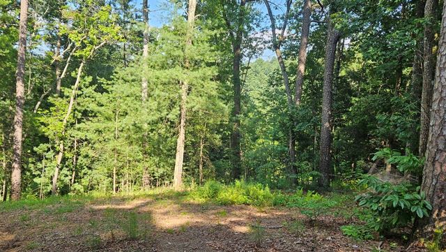 80 Jebs Ct, Ellijay, GA 30540