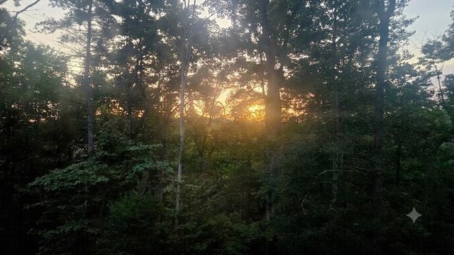 80 Jebs Ct, Ellijay, GA 30540