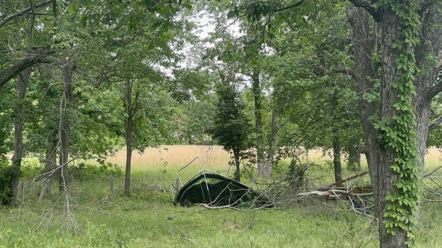 1229 N 1st St, Westmoreland, TN 37186
