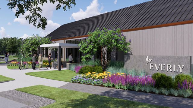 18711 Sweet Basil Drive, Hockley, TX 77447