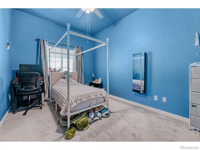 552 Newton Drive, Loveland, CO 80537