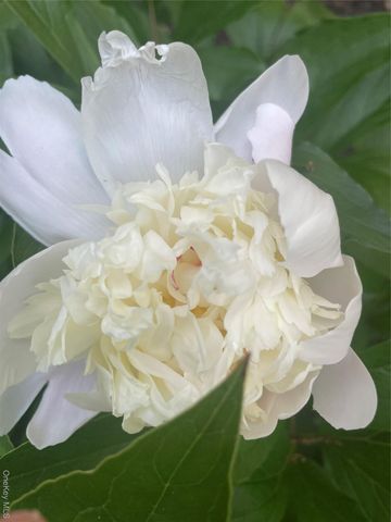 101 Hickory Hill Road, Tappan, NY 10983