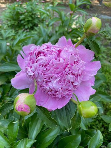 101 Hickory Hill Road, Tappan, NY 10983