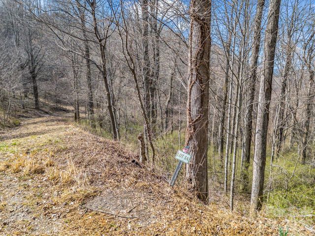 99999 Rose Hill Road, Asheville, NC 28803