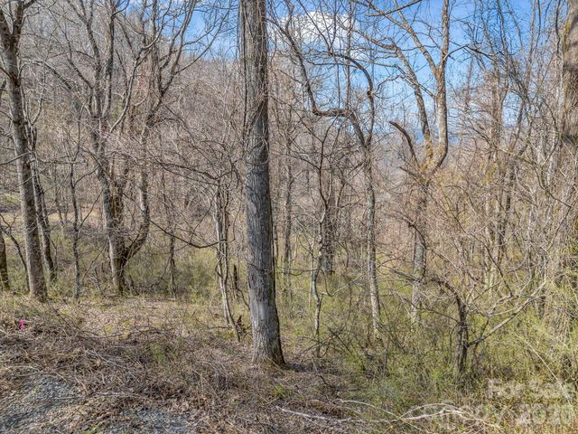 99999 Rose Hill Road, Asheville, NC 28803