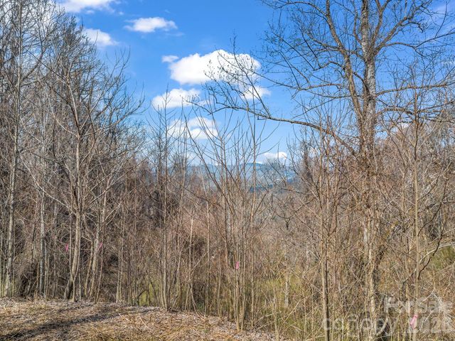 99999 Rose Hill Road, Asheville, NC 28803