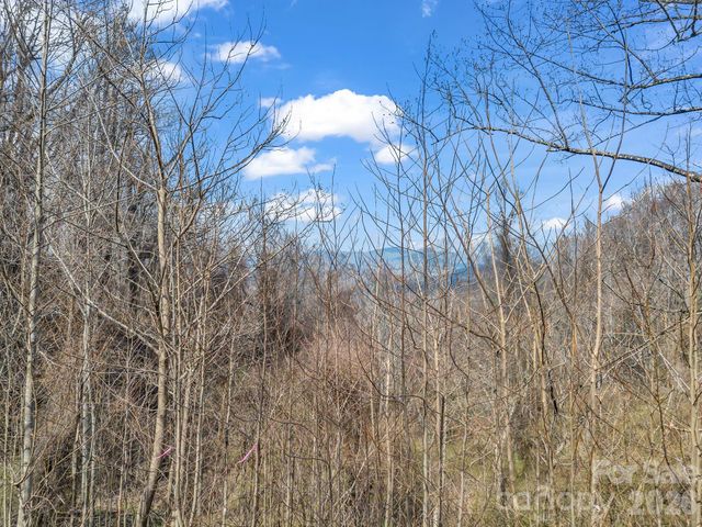 99999 Rose Hill Road, Asheville, NC 28803