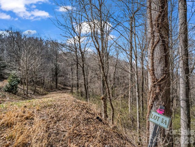 99999 Rose Hill Road, Asheville, NC 28803