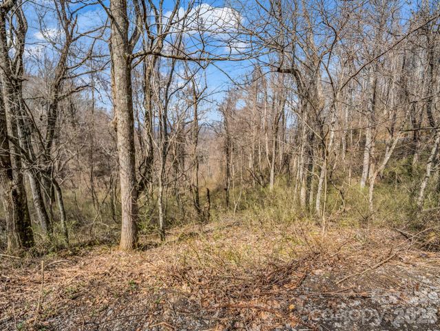 99999 Rose Hill Road, Asheville, NC 28803