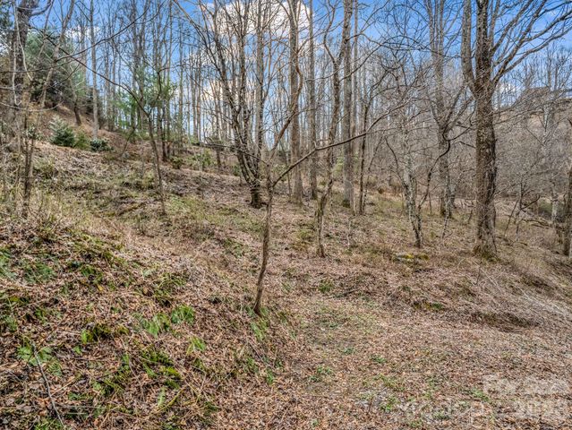 99999 Rose Hill Road, Asheville, NC 28803