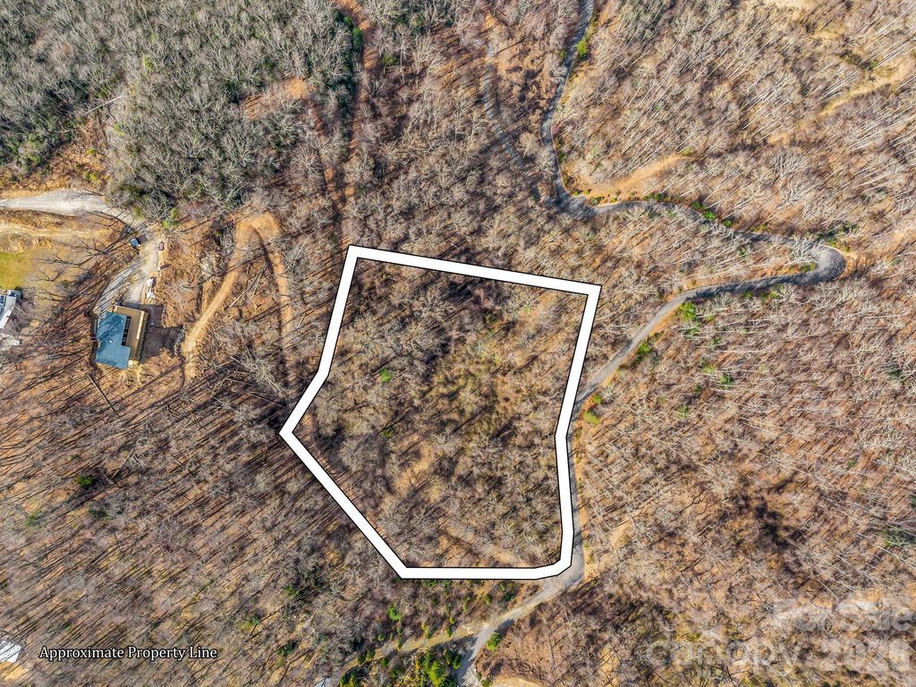 99999 Rose Hill Road, Asheville, NC 28803