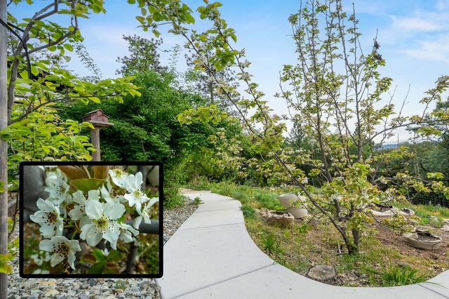 16105 John Way, Grass Valley, CA 95949