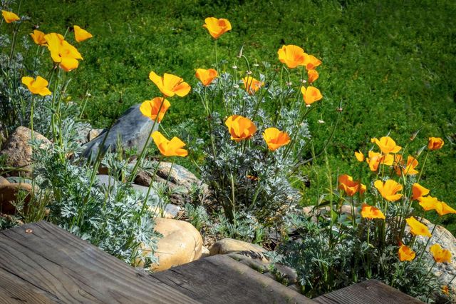 16105 John Way, Grass Valley, CA 95949