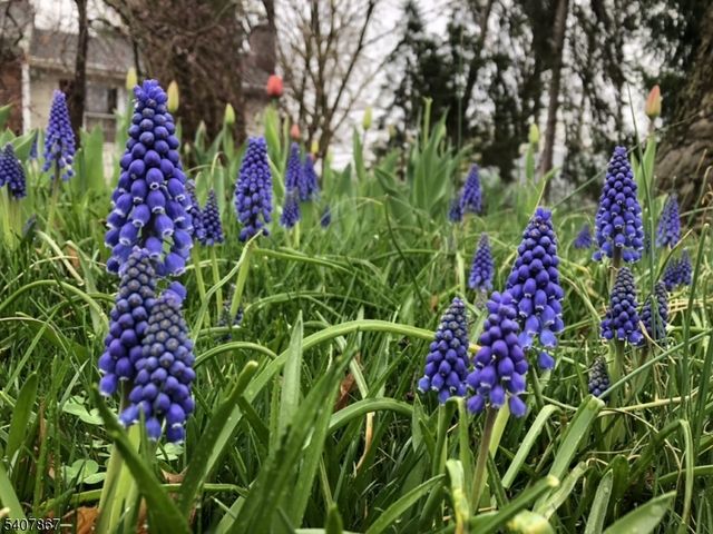 51 Durand Rd, Maplewood Twp., NJ 07040