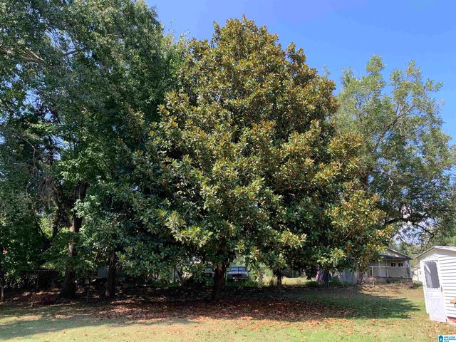 617 HILLTOP AVENUE, Warrior, AL 35180