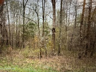 Grace Hill Drive, Crossville, TN 38571